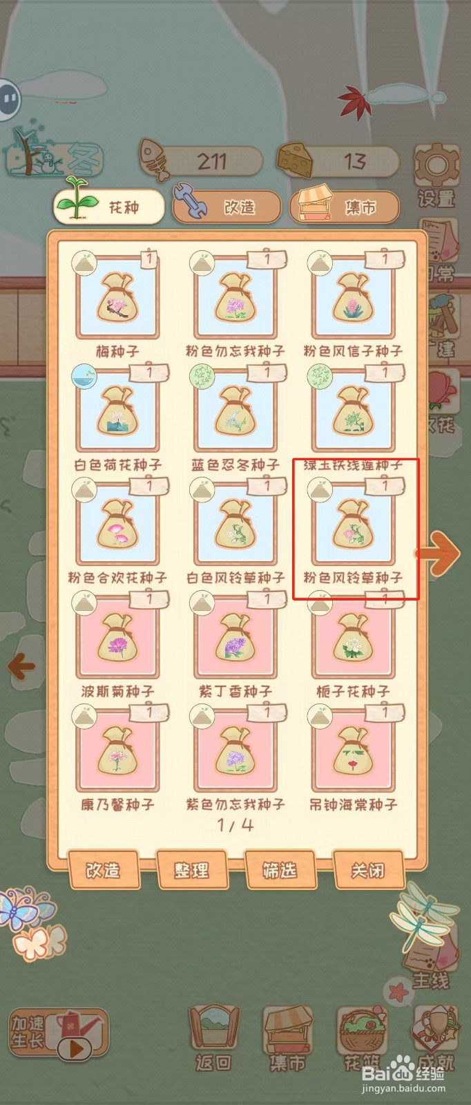 花店物语如何查看粉色风铃草种子的种植季节