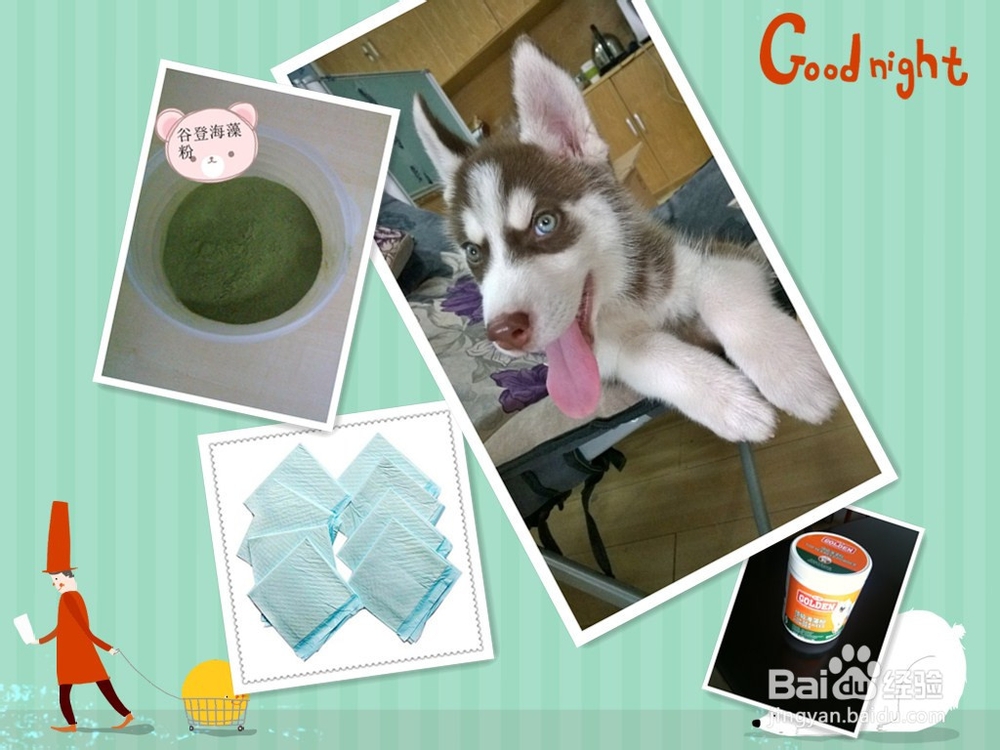 狗狗夏季掉毛吃什么能改善以及提高毛发质量？