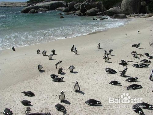 喜欢墨尔本的婀娜多姿,不可错过的旅游