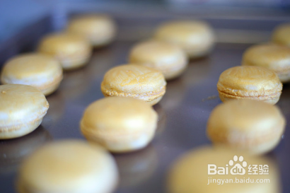 怎么做榴莲马卡龙