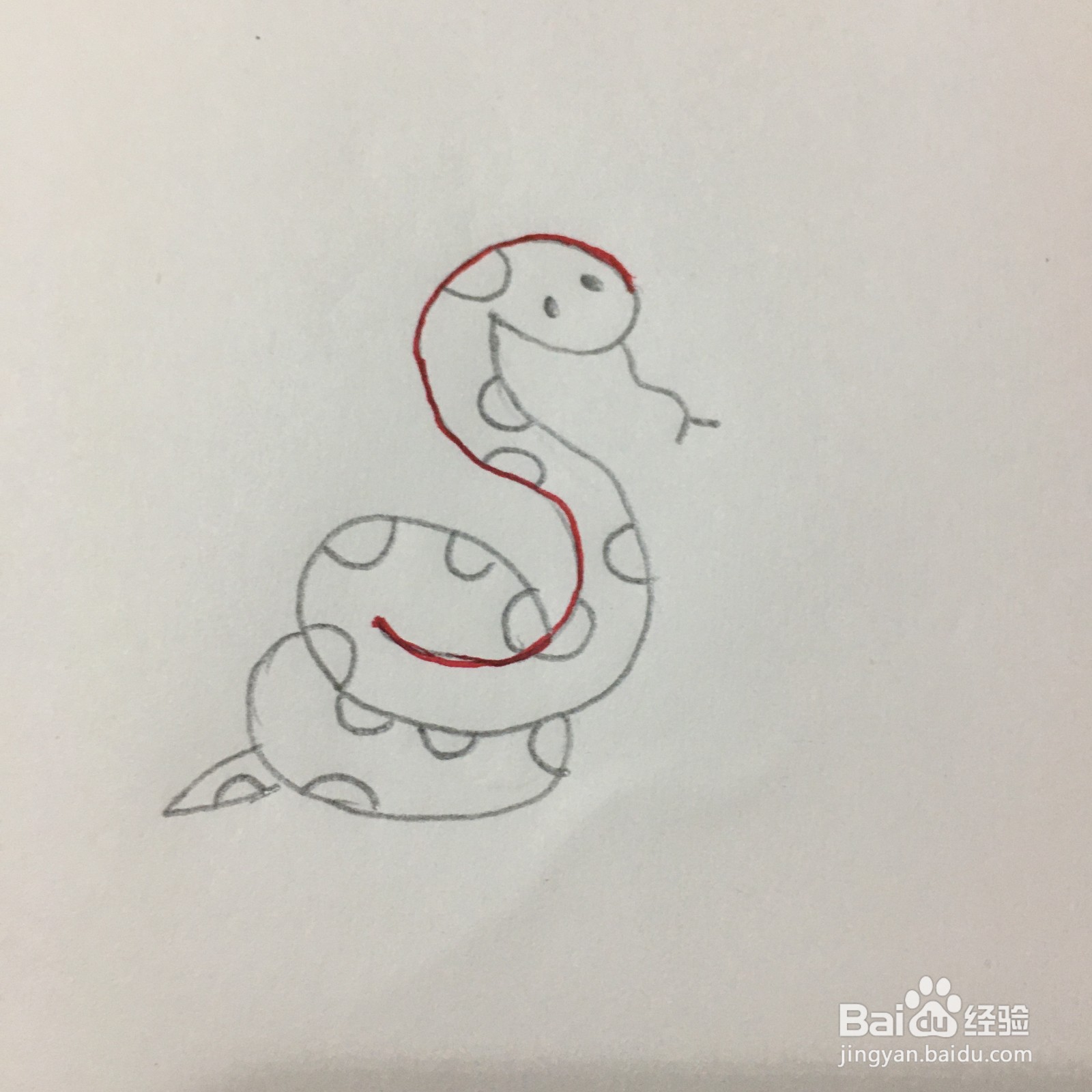 26个字母中S的简笔画怎么画？