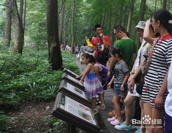 张家界自驾车俱乐部