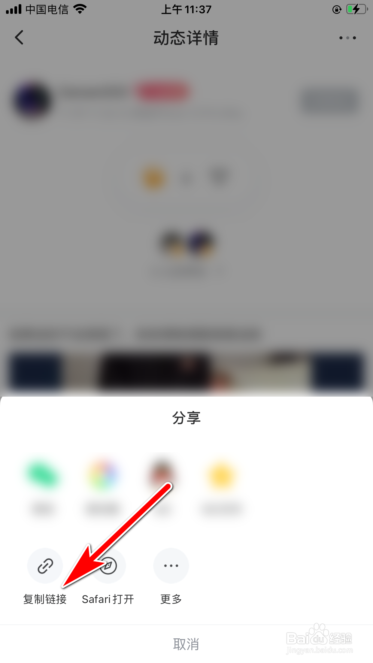 威锋怎么复制其他用户的动态的分享链接