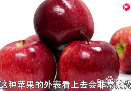 如何挑选苹果才会水分多又甜？