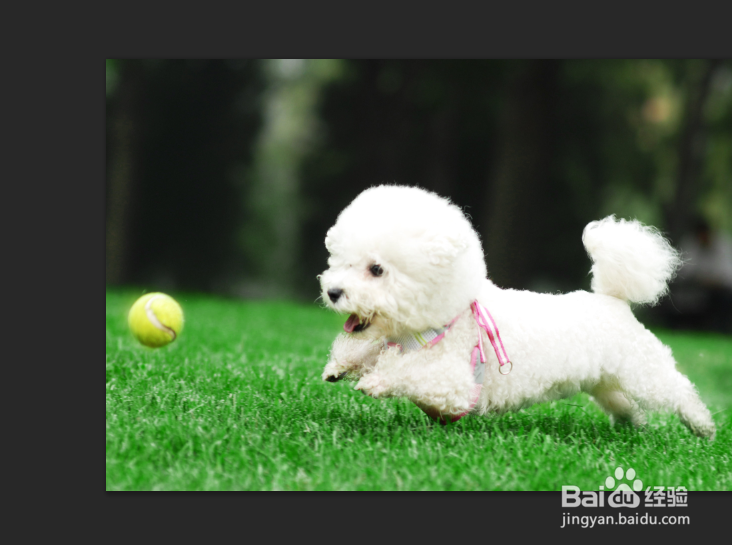 ps多边形套索工具怎么用