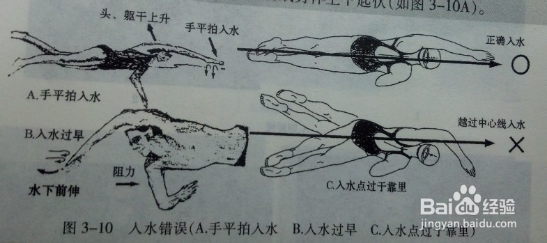 快速掌握游泳技巧：[2]学自由泳的诀窍