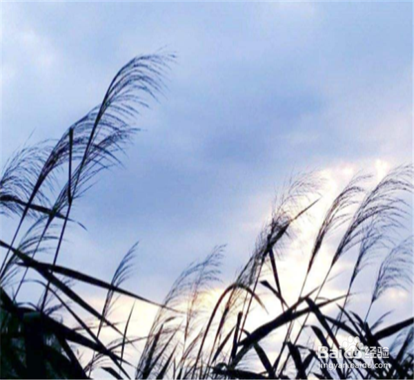 男生恋爱时需注意的几个误区