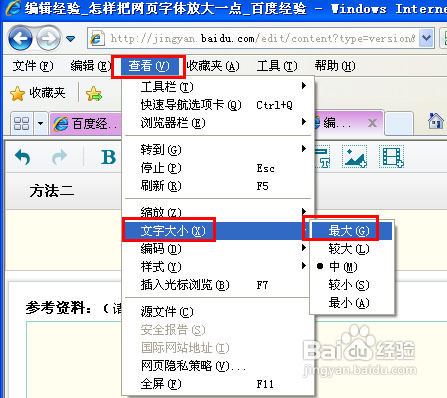怎样把网页字体放大一点