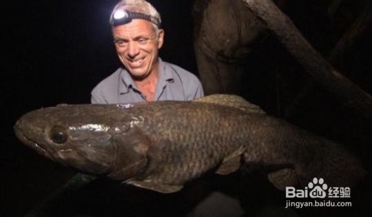 如何培养学生学习生物的各种能力