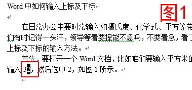 Word及WPS中如何输入上标及下标