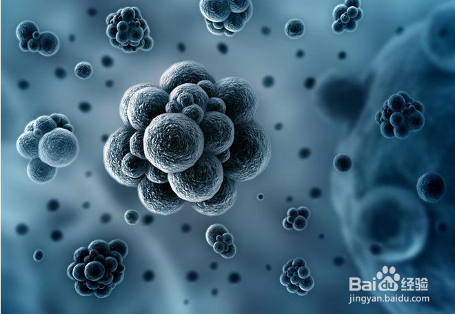 脚臭怎么办,日常除掉脚臭的方法大全