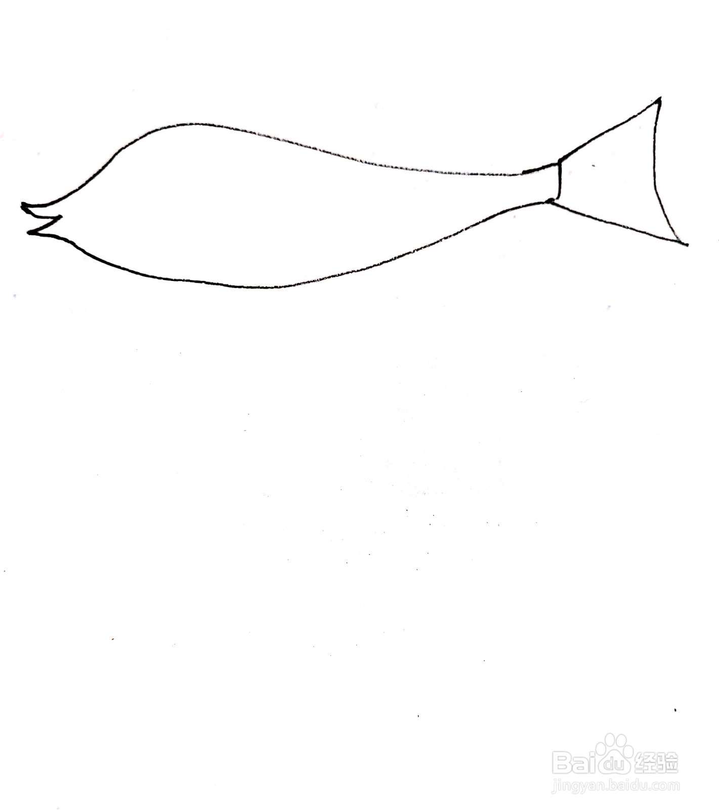 鲢鱼线描画怎么画