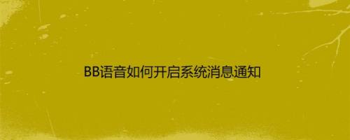 BB语音如何开启系统消息通知
