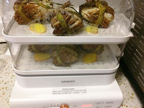 清蒸阳澄湖大闸蟹