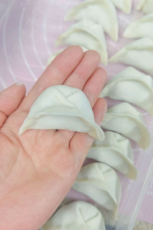 猪肉圆白菜饺子