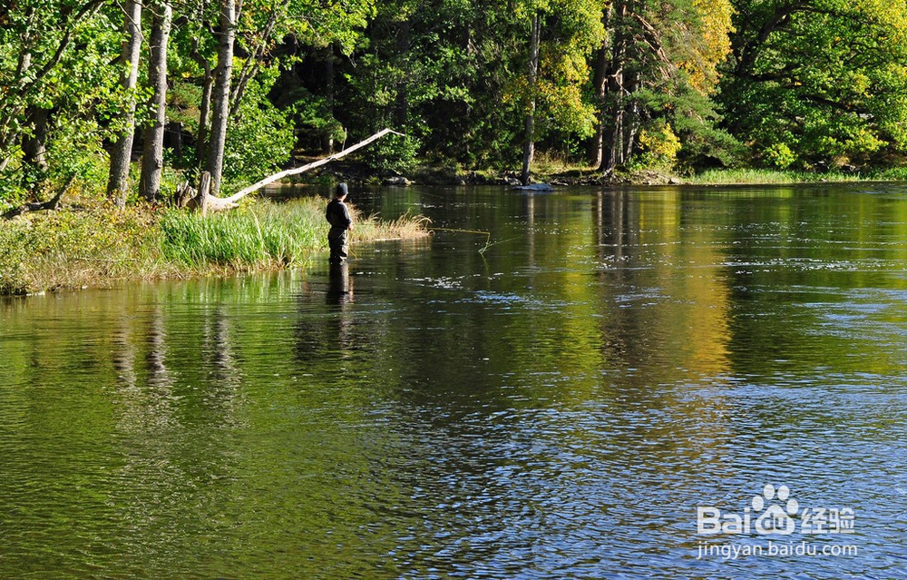 如何选择一个好的钓位