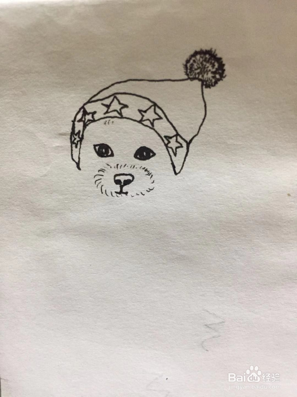 插画教程之圣诞泰迪狗