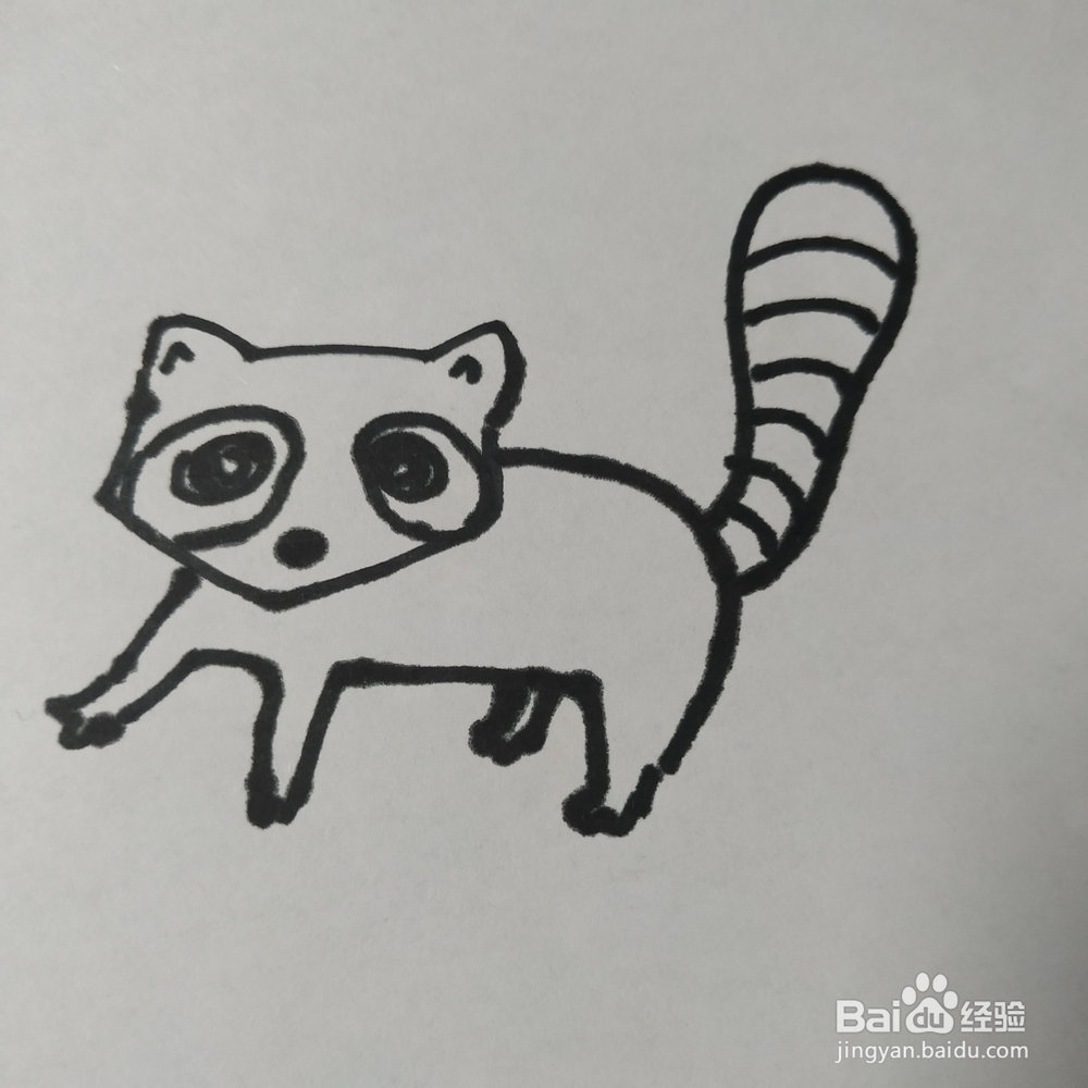 怎么画浣熊的儿童画?浣熊的儿童画怎么画呢?