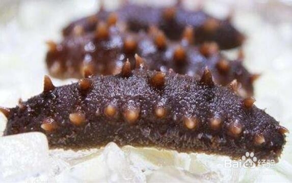 海参真假怎么辨别