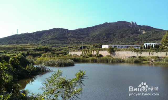 烟台岱王山——一个人的旅行