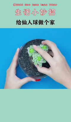 怎样给仙人球做花盆