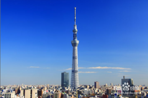 日本东京郊区适合晴天约会的7个景点推荐