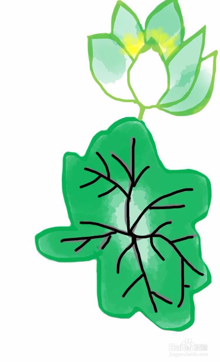 简笔画教程之荷花