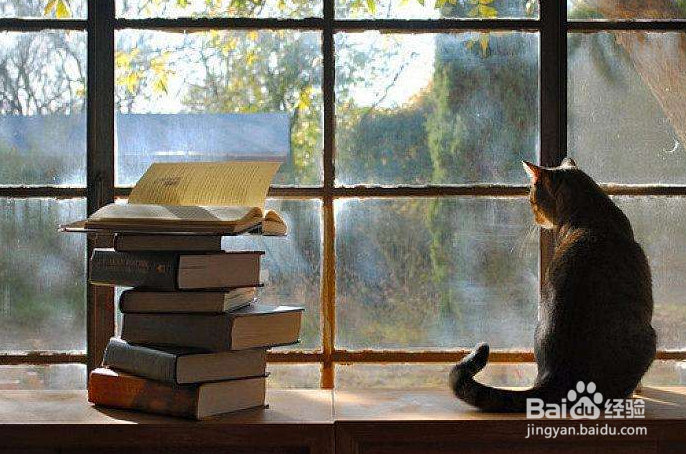 总是静不下心来读书怎么办?