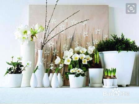 冬天房间干燥怎么办