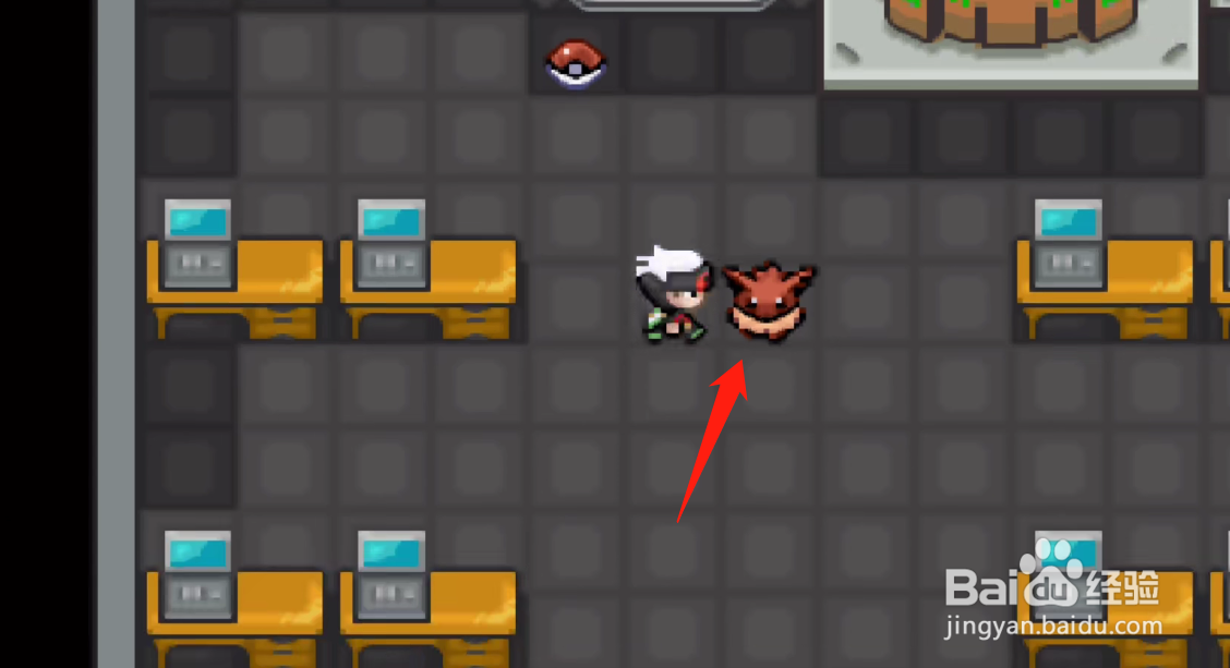 口袋妖怪究极绿宝石5特殊伊布在哪获得