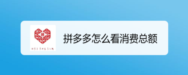 拼多多怎么看消费总额