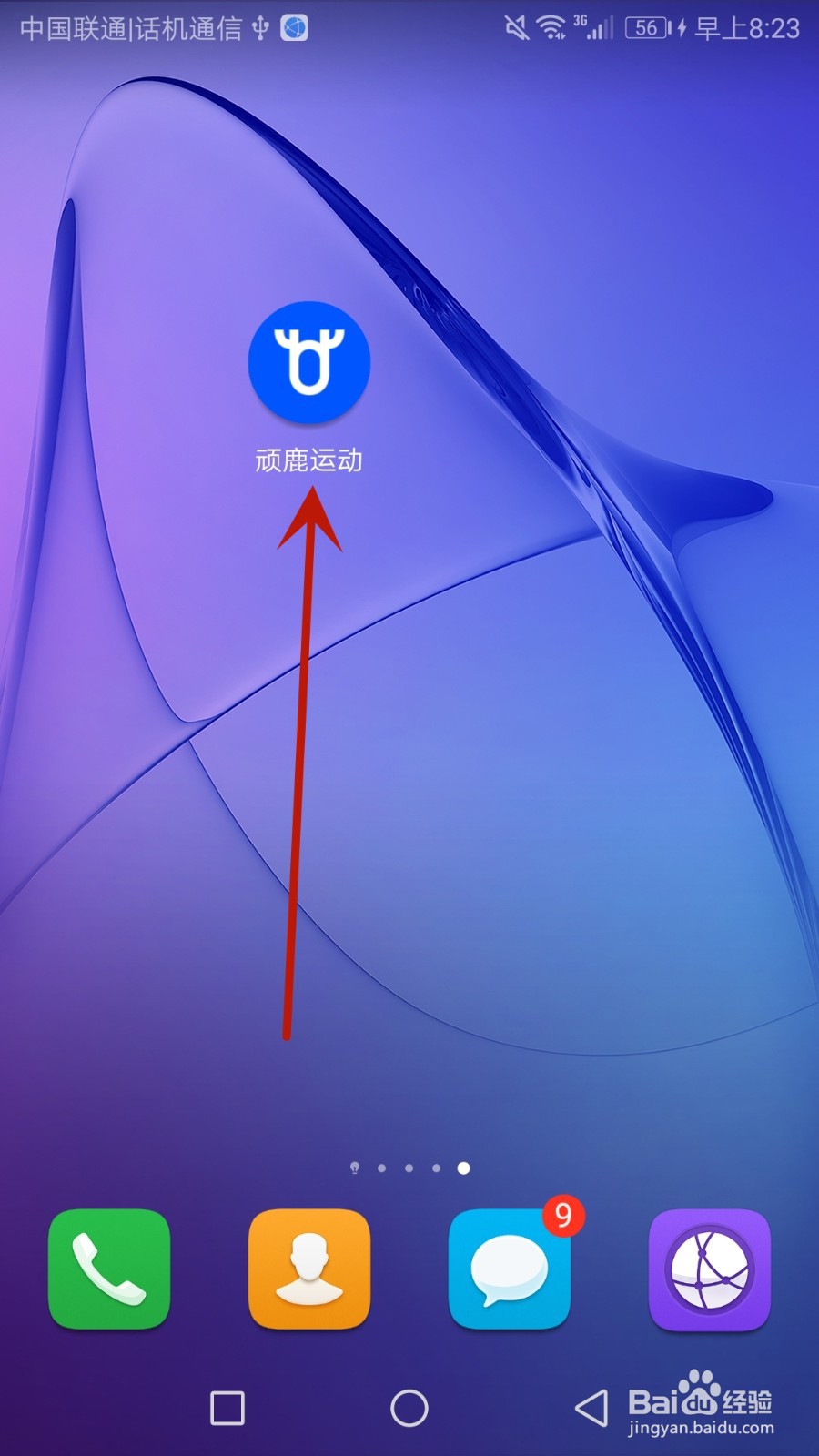 怎么对顽鹿运动进行评价