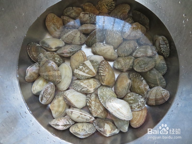 带你做辣炒花蛤