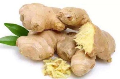 冬吃萝卜夏吃姜下一句