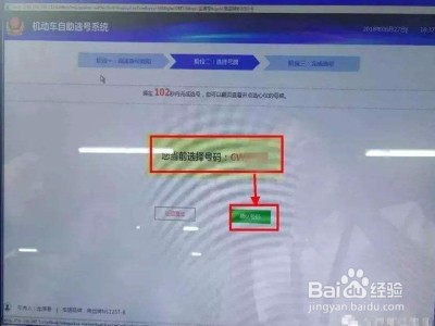 自编20个号牌怎么编?