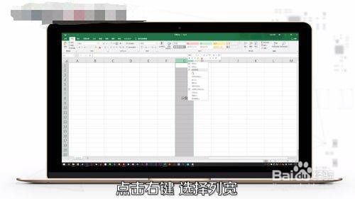 怎么调整表格的行高和列宽