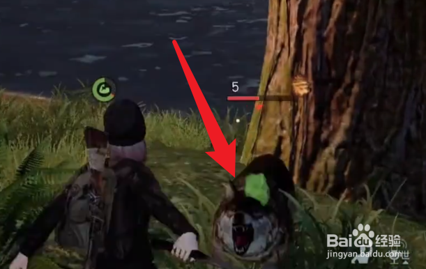 黎明觉醒兽皮怎么得