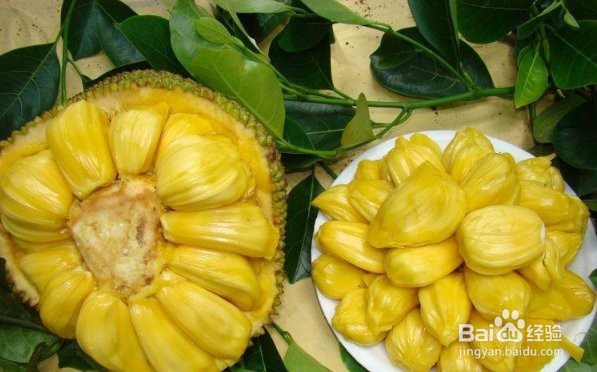 立秋后，尽量少吃的水果