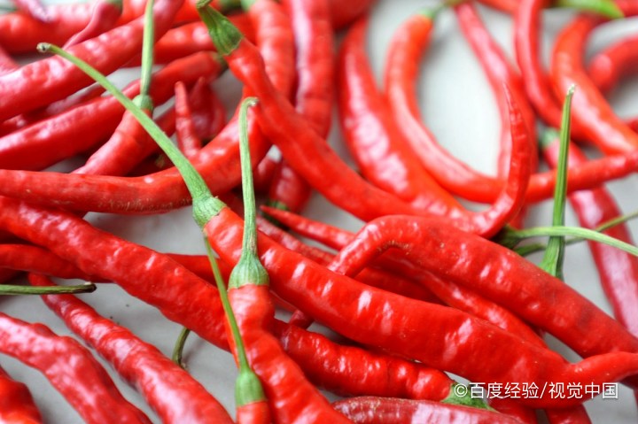 阳台种植蔬菜的技术和方法