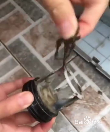 怎么清洗消毒滚筒自动洗衣机？洗衣机如何清洁？