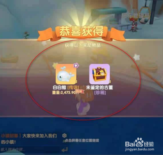 摩尔庄园白鲸要怎么钓