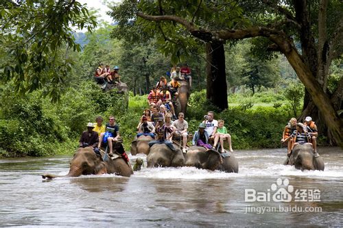 漫游泰国--曼谷大城沙美岛芭堤雅之旅