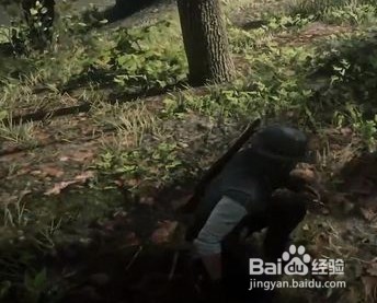 荒野大镖客2哪里河狸多