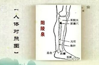 <b>老年人膝关节怎么保养才能不得关节炎</b>
