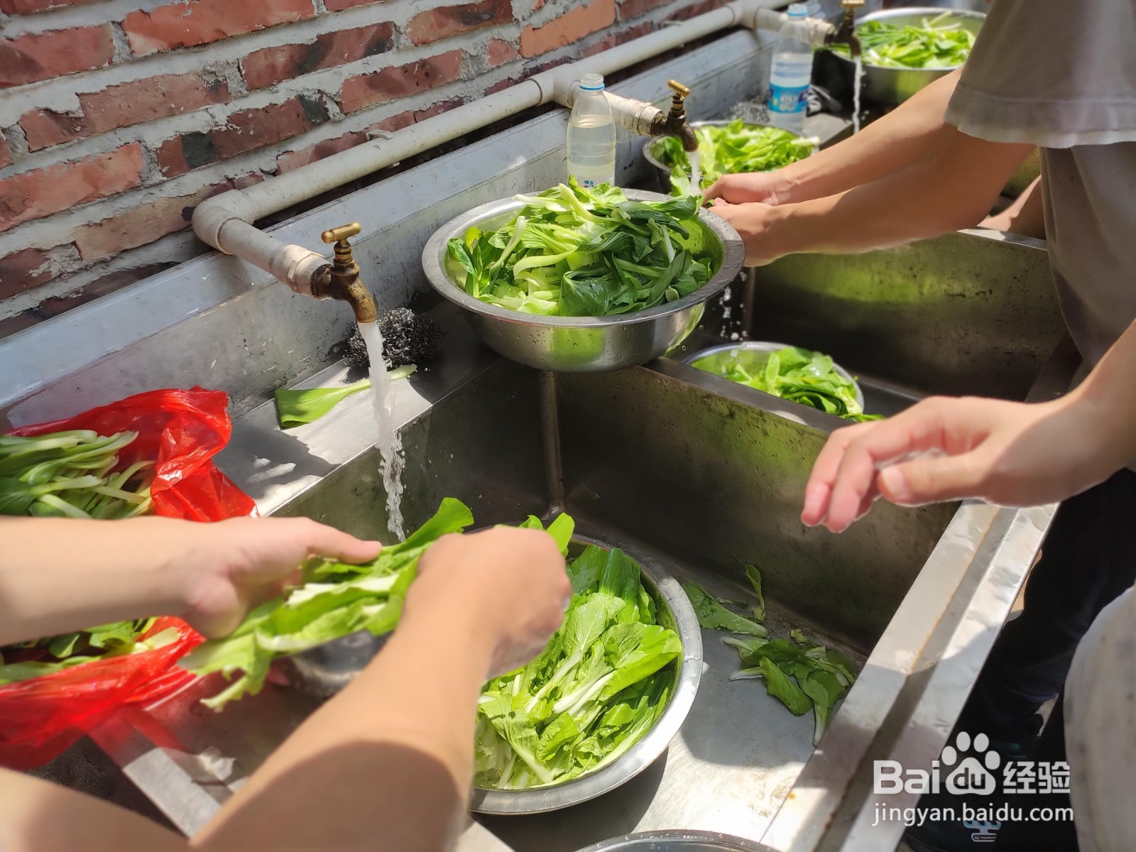 东莞新安周边农家乐一日游
