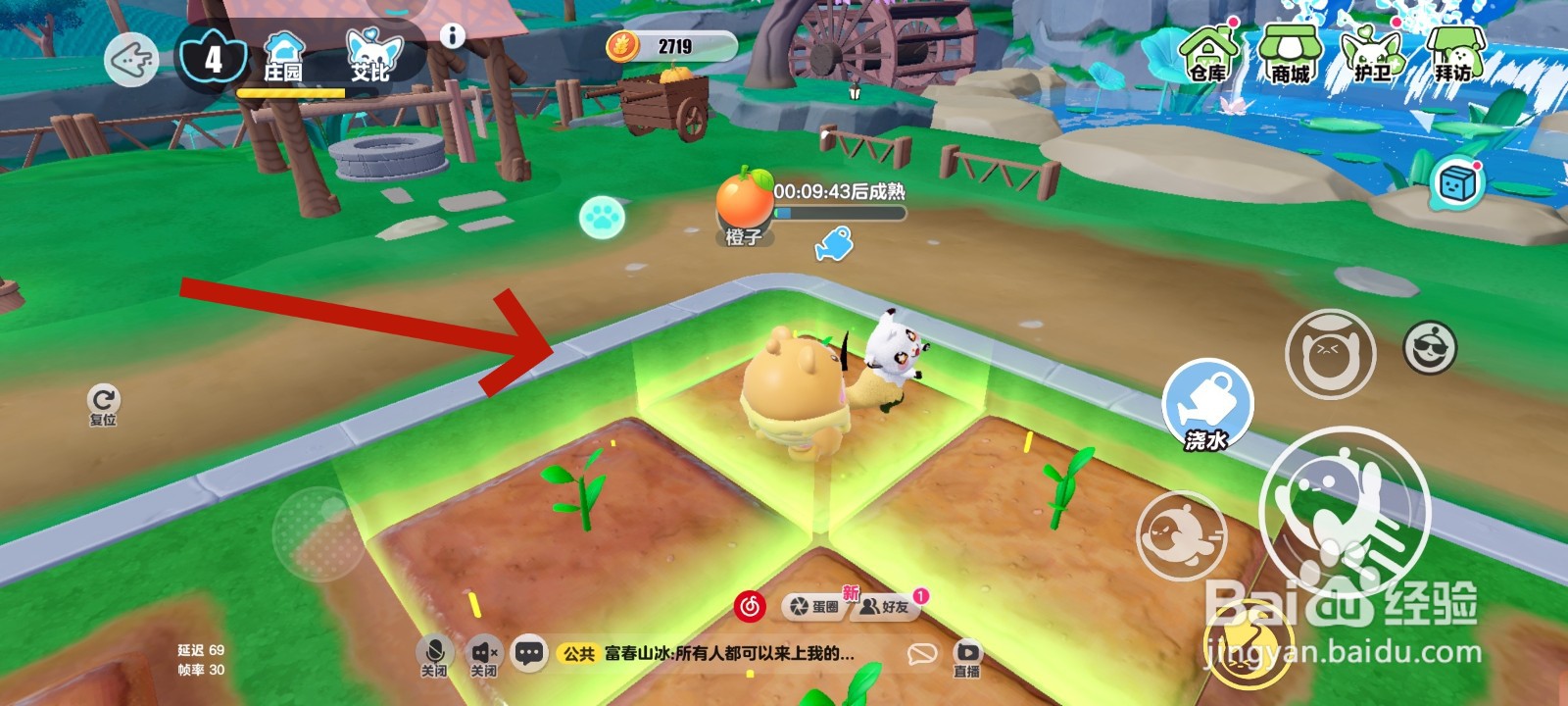 蛋仔派对游戏中给橙子树浇水的教程