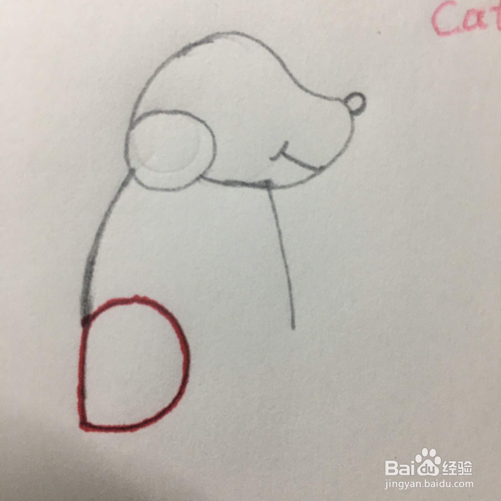 怎么用字母D画简笔画小狗？