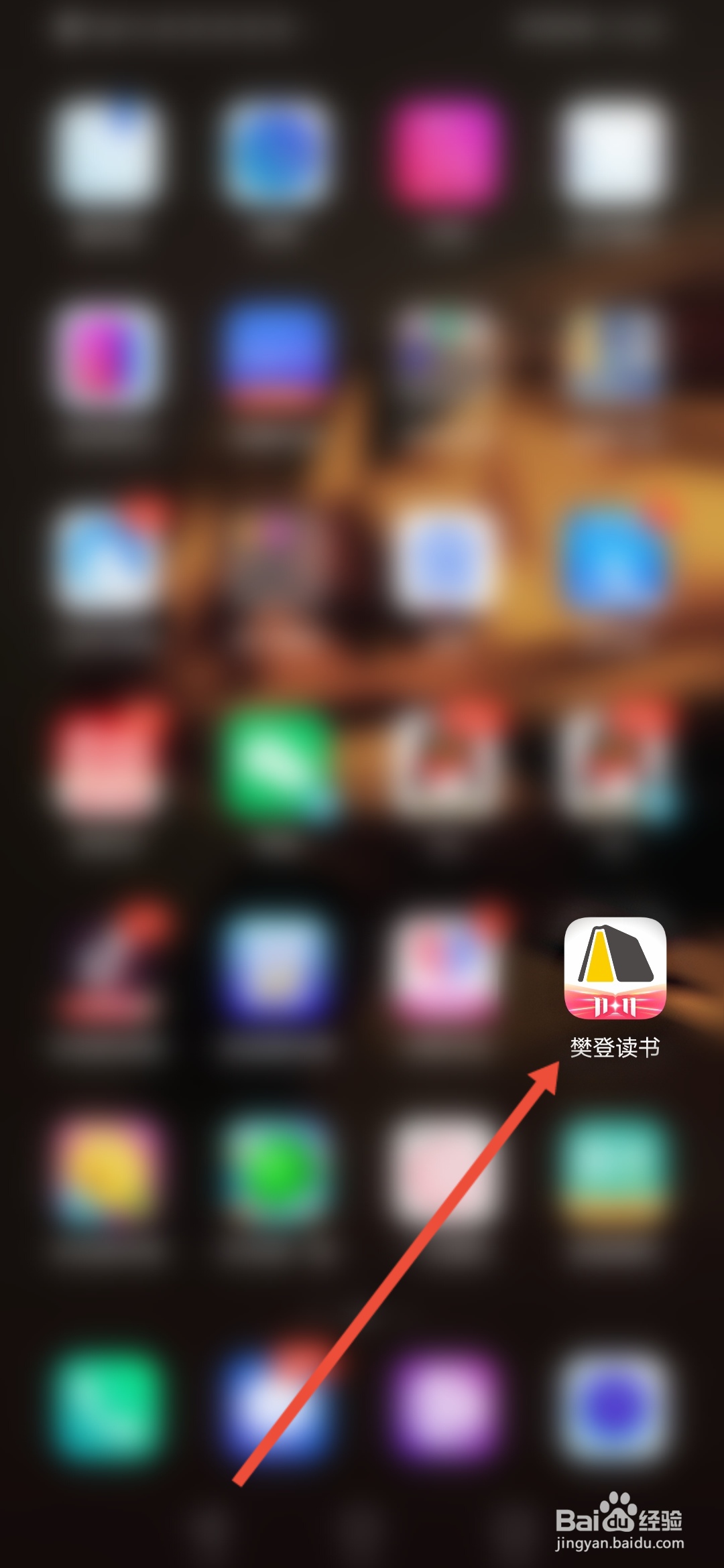 樊登读书怎么开启使用移动网络播放音视频