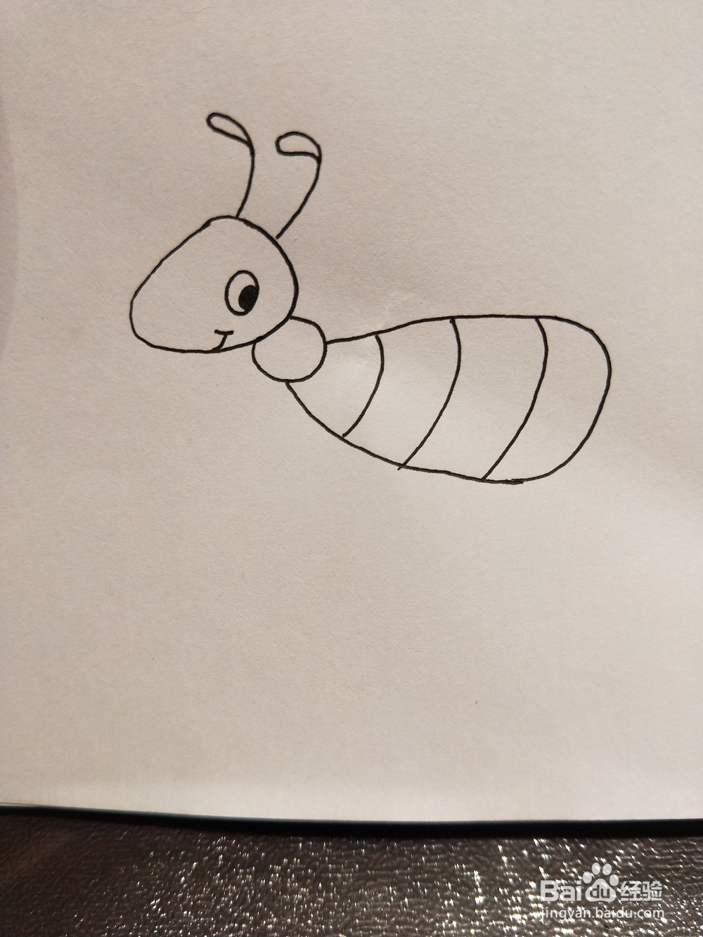怎样画简笔画——小蚂蚁