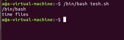 Linux系统中命令型shell的执行方式